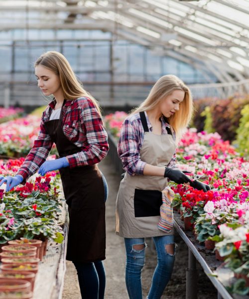 TRENING ZA POLAGANJE ISPITA –ORIJENTACIJA NA HOLANDSKOM TRŽIŠTU RADA (ONA)