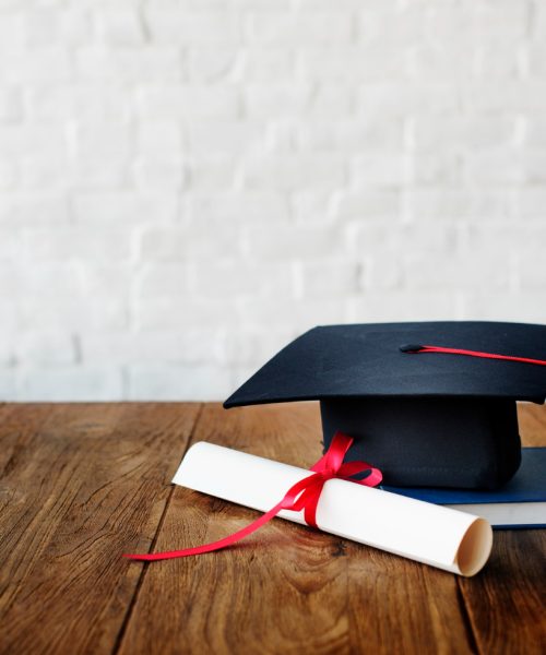 PRIPREMA ZA POLAGANJE DRŽAVNOG ISPITA – STAATSEXAMEN NT2